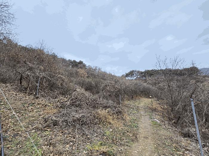 2020타경102679 법원경매 사진22 | 충남 금산군 공장 경매