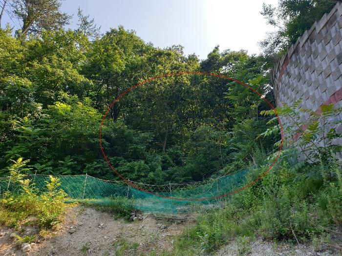 부산광역시 기장군 장안읍 반룡리 202 법원경매 물건 대표사진