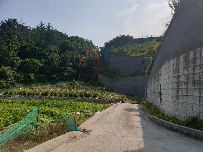 법원경매 2021타경103803 사진2 | 부산 기장군 장안읍 반룡리 202 토지 경매