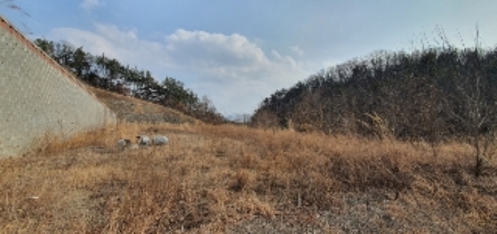 2022타경100222 법원경매 사진24 | 경남 함안군 토지 경매