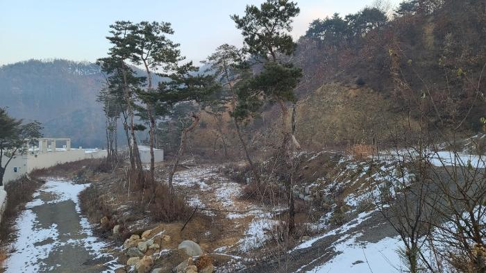 2020타경7494 법원경매 사진11 | 청주 상당구 토지 경매
