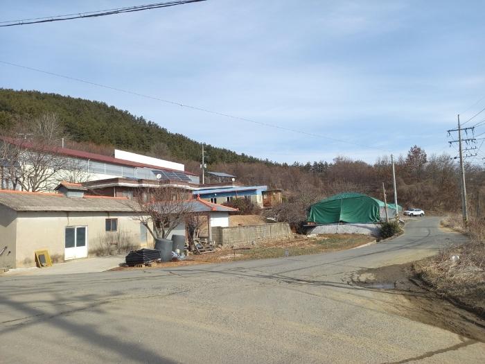 충남 서천군 비인면 다사리 26-7 주택 사진 5