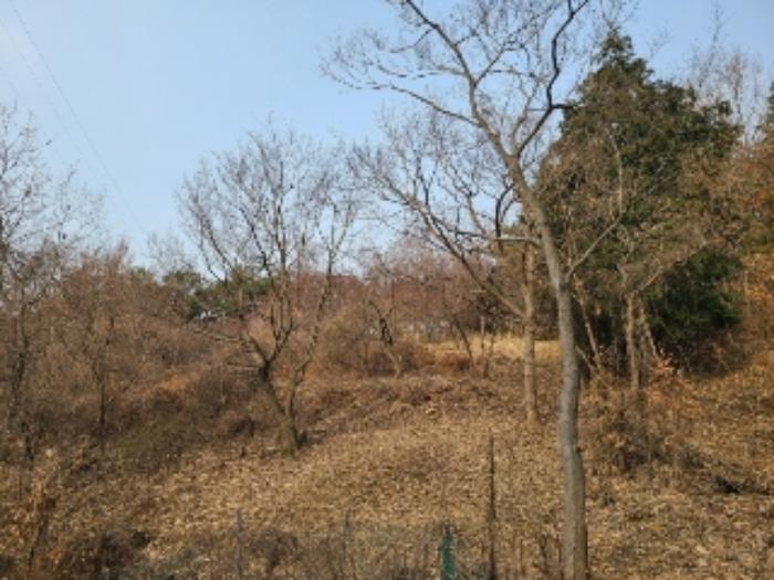 2023타경63209 법원경매 사진13 | 광주 북구 토지 경매