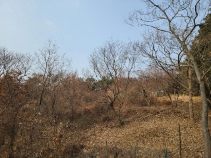2023타경63209 법원경매 사진14 | 광주 북구 토지 경매