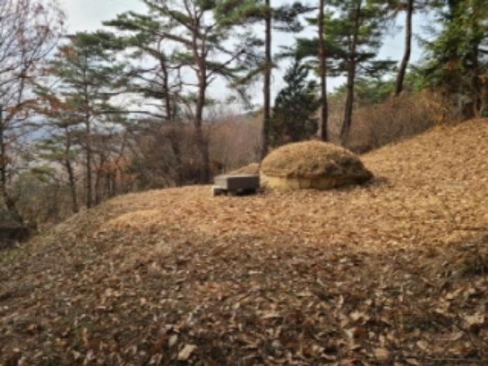 2023타경63209 법원경매 사진16 | 광주 북구 토지 경매