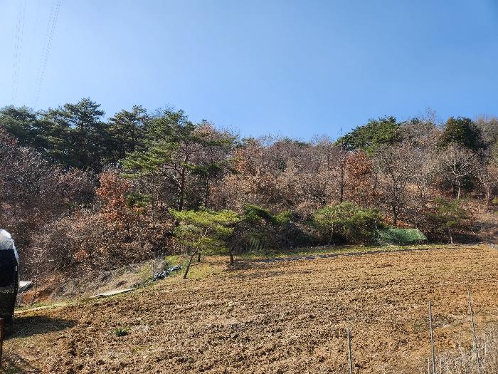 2023타경63209 법원경매 사진2 | 광주 북구 토지 경매