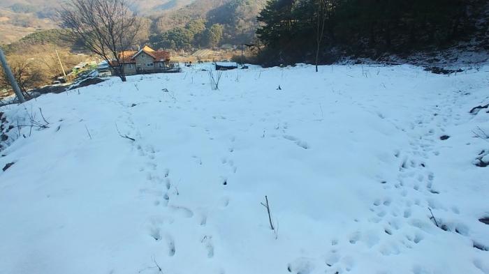 2022타경21936 법원경매 사진3 | 충남 공주시 토지 경매