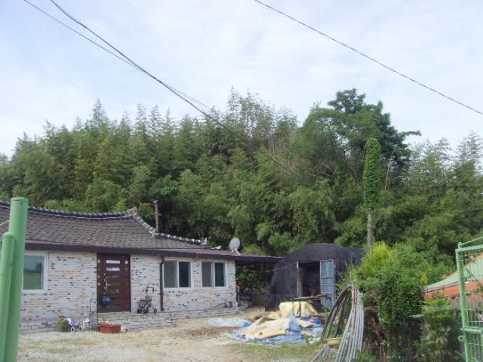 2023타경52331 법원경매 사진17 | 전남 해남군 토지 경매