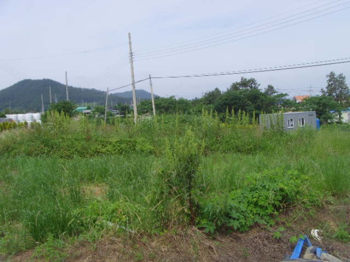 2023타경52331 법원경매 사진19 | 전남 해남군 토지 경매