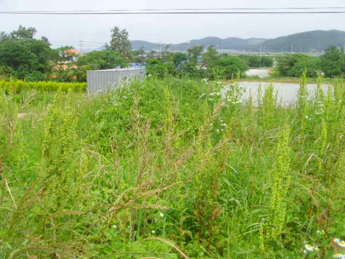 2023타경52331 법원경매 사진20 | 전남 해남군 토지 경매