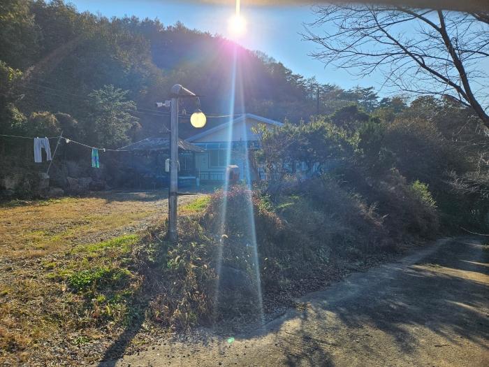 2023타경97 법원경매 사진2 | 충남 청양군 주택건물 경매