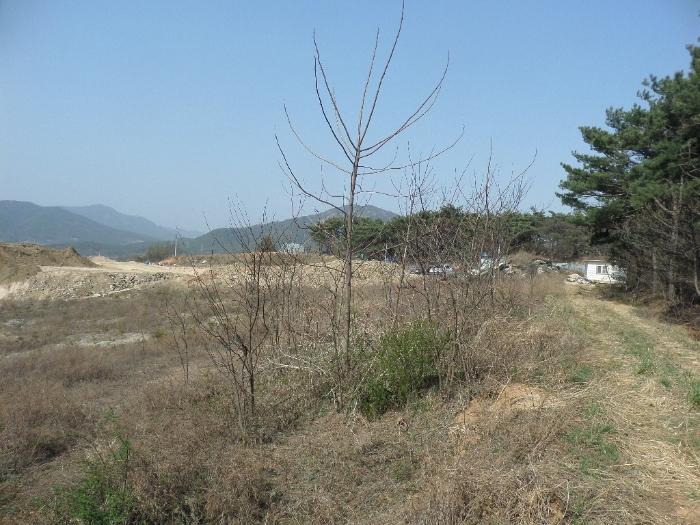2023타경16536 법원경매 사진7 | 충남 홍성군 기타 경매
