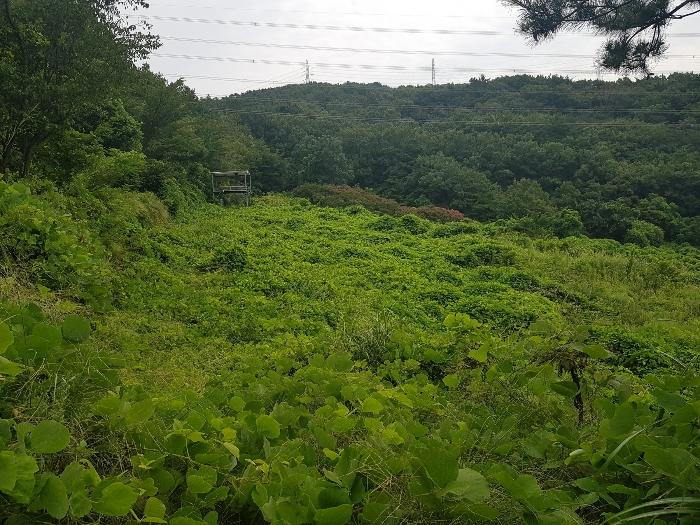경상남도 양산시 동면 가산리 483-2 법원경매 물건 대표사진