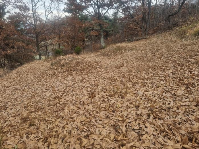 2022타경105074 법원경매 사진3 | 경남 함안군 토지 경매