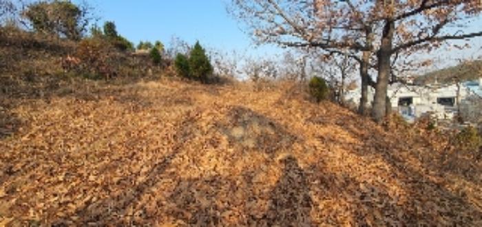 2022타경105074 법원경매 사진8 | 경남 함안군 토지 경매