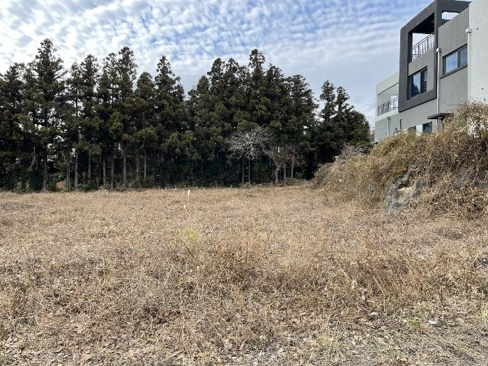 2022타경28289 법원경매 사진7 | 제주 서귀포시 창고 경매