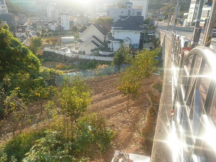 2022타경4207 법원경매 사진10 | 경남 거제시 토지 경매