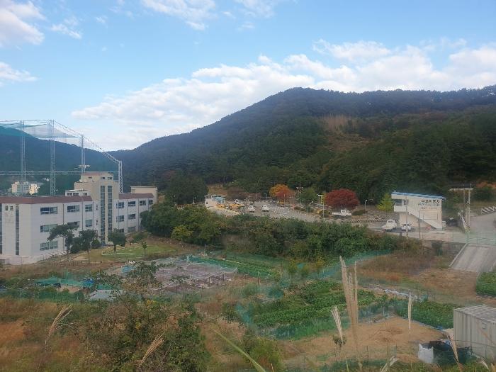2022타경4207 법원경매 사진18 | 경남 거제시 토지 경매
