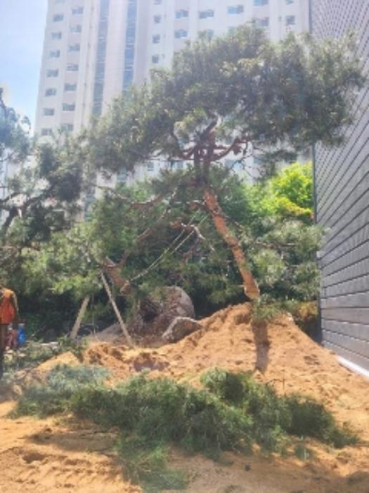 2023타경3573 법원경매 사진23 | 광주 남구 오피스텔 경매