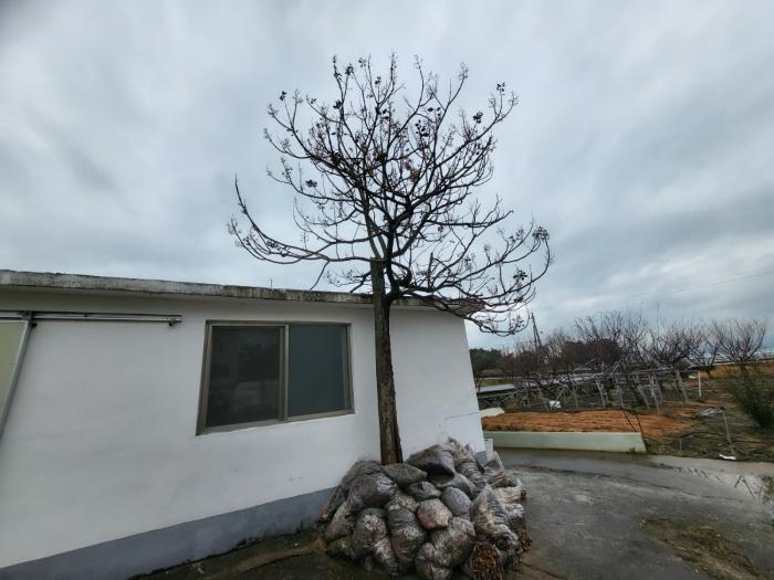 법원경매 2023타경33896 사진10 | 남해군 설천면 비란리 100 토지 경매