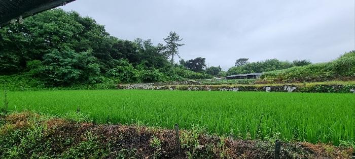 법원경매 2023타경33896 사진19 | 남해군 설천면 비란리 100 토지 경매