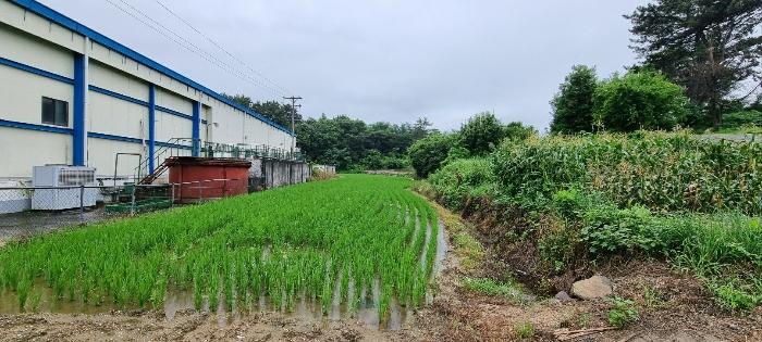 법원경매 2023타경33896 사진21 | 남해군 설천면 비란리 100 토지 경매