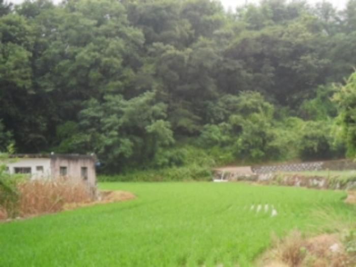 법원경매 2023타경33896 사진36 | 남해군 설천면 비란리 100 토지 경매