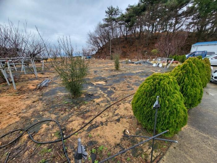 법원경매 2023타경33896 사진9 | 남해군 설천면 비란리 100 토지 경매