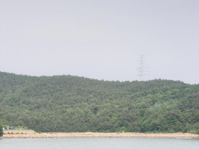 2023타경53478 법원경매 사진3 | 전남 광양시 토지 경매