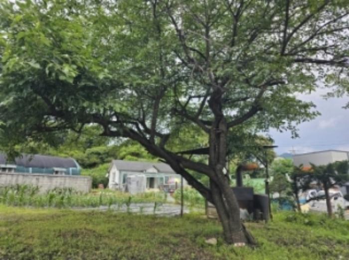 2023타경6115 법원경매 사진10 | 충북 제천시 토지 경매
