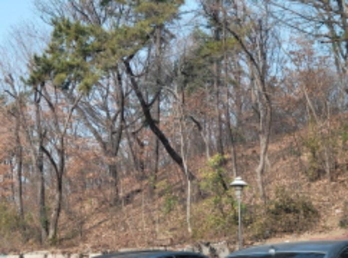 법원경매 2022타경119343 사진8 | 대구 수성구 두산동 612-14 토지 경매