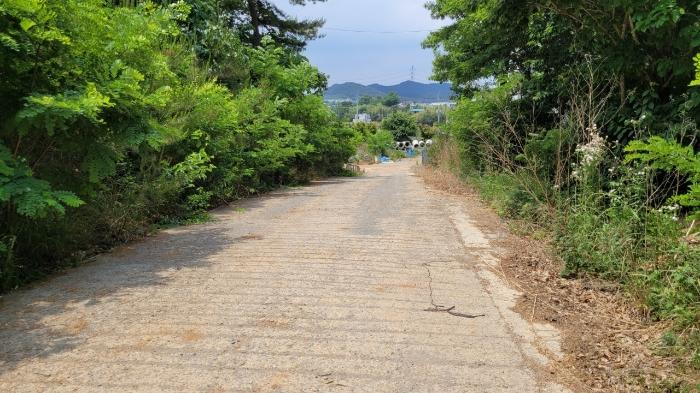 2022타경52636 법원경매 사진5 | 충남 당진시 다가구주택 경매