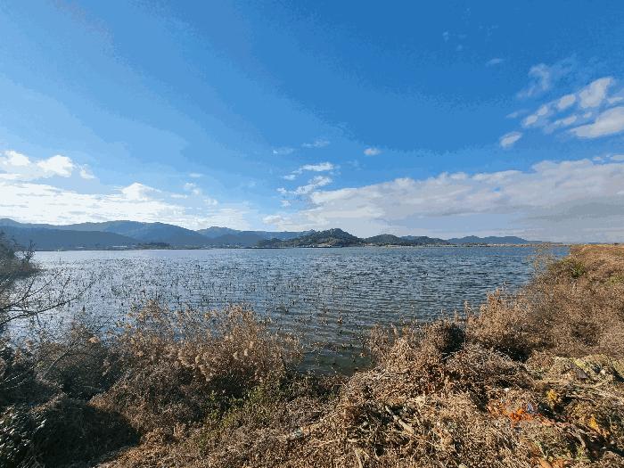 전라남도 영암군 서호면 엄길리 1345 법원경매 물건 대표사진