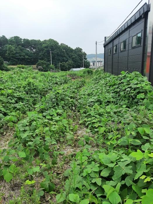 법원경매 2023타경3929 사진8 | 진천군 광혜원면 선수촌로 104-3 근린주택 경매