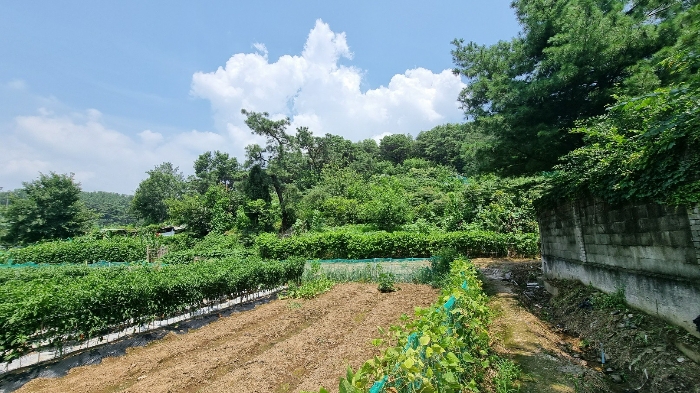 법원경매 2023타경5625 사진2 | 대구 북구 복현동 토지 경매