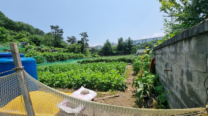 법원경매 2023타경5625 사진4 | 대구 북구 복현동 토지 경매