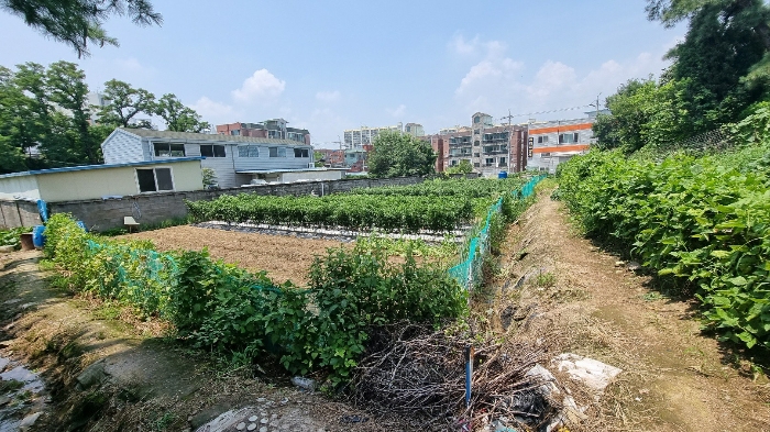 법원경매 2023타경5625 사진8 | 대구 북구 복현동 토지 경매