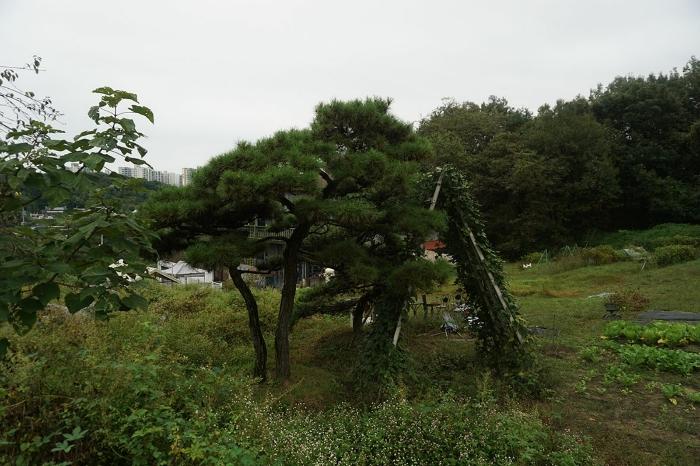 법원경매 2023타경38750 사진2 | 전주시 완산구 삼천동2가 160-7 주택건물 경매