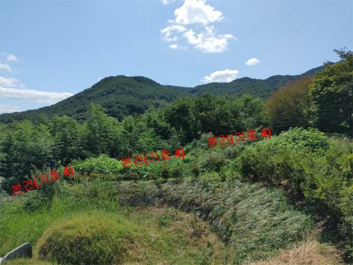 경남 합천군 가회면 중촌리 447 대지 사진 4
