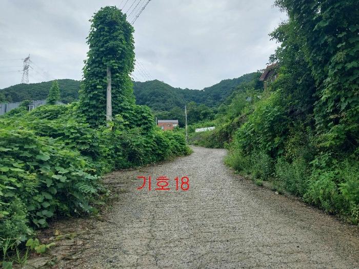 법원경매 2021타경5173 사진2 | 광주시 퇴촌면 관음리 82-20 토지 경매