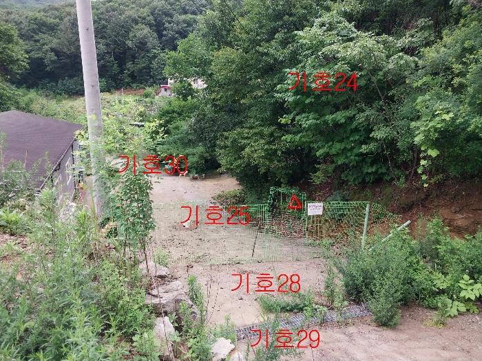 법원경매 2021타경5173 사진7 | 광주시 퇴촌면 관음리 82-20 토지 경매