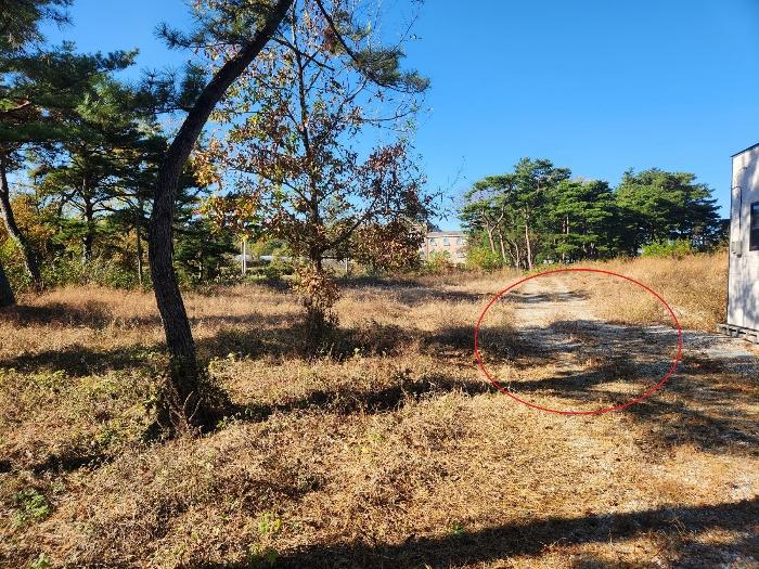 충남 논산시 상월면 상도리 산70 임야 사진 3