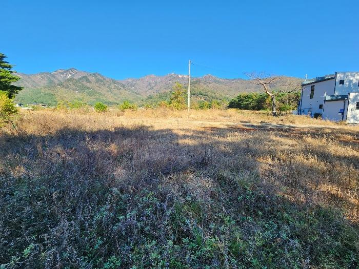 충남 논산시 상월면 상도리 산70 임야 사진 4