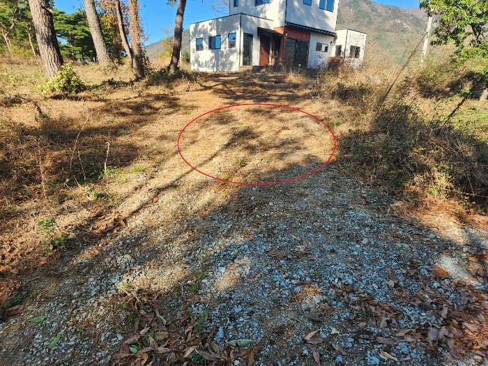 충남 논산시 상월면 상도리 산70 임야 사진 5