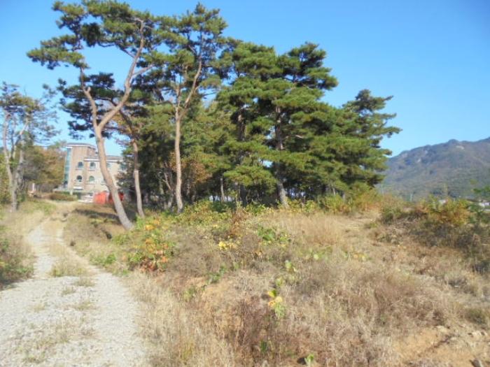 2023타경1957 법원경매 사진8 | 충남 논산시 토지 경매