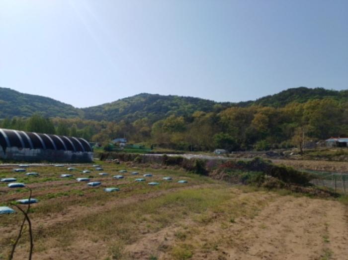 법원경매 2023타경514138 사진7 | 인천 옹진군 북도면 신도리 토지 경매
