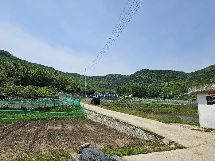 2023타경514138 법원경매 사진2 | 인천 옹진군 토지 경매