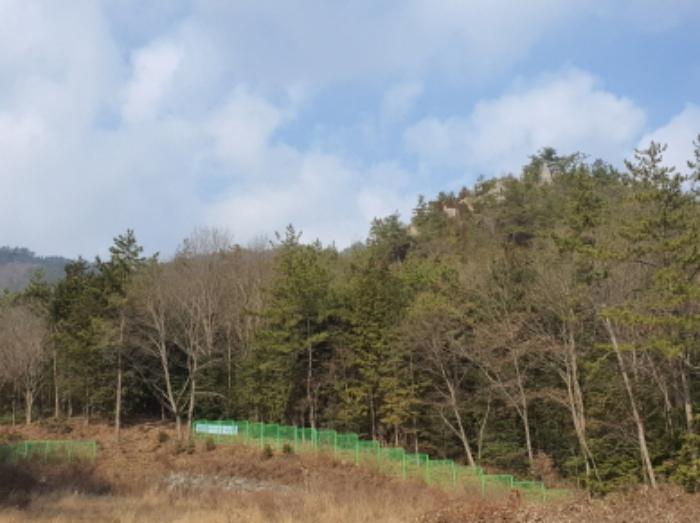 2023타경6691 법원경매 사진3 | 전남 강진군 토지 경매