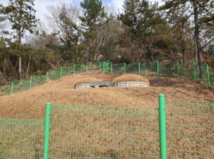 2023타경6691 법원경매 사진4 | 전남 강진군 토지 경매