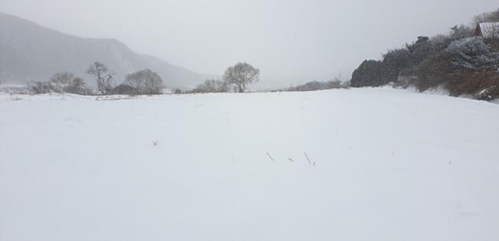 충남 예산군 덕산면 상가리 372 답 사진 3